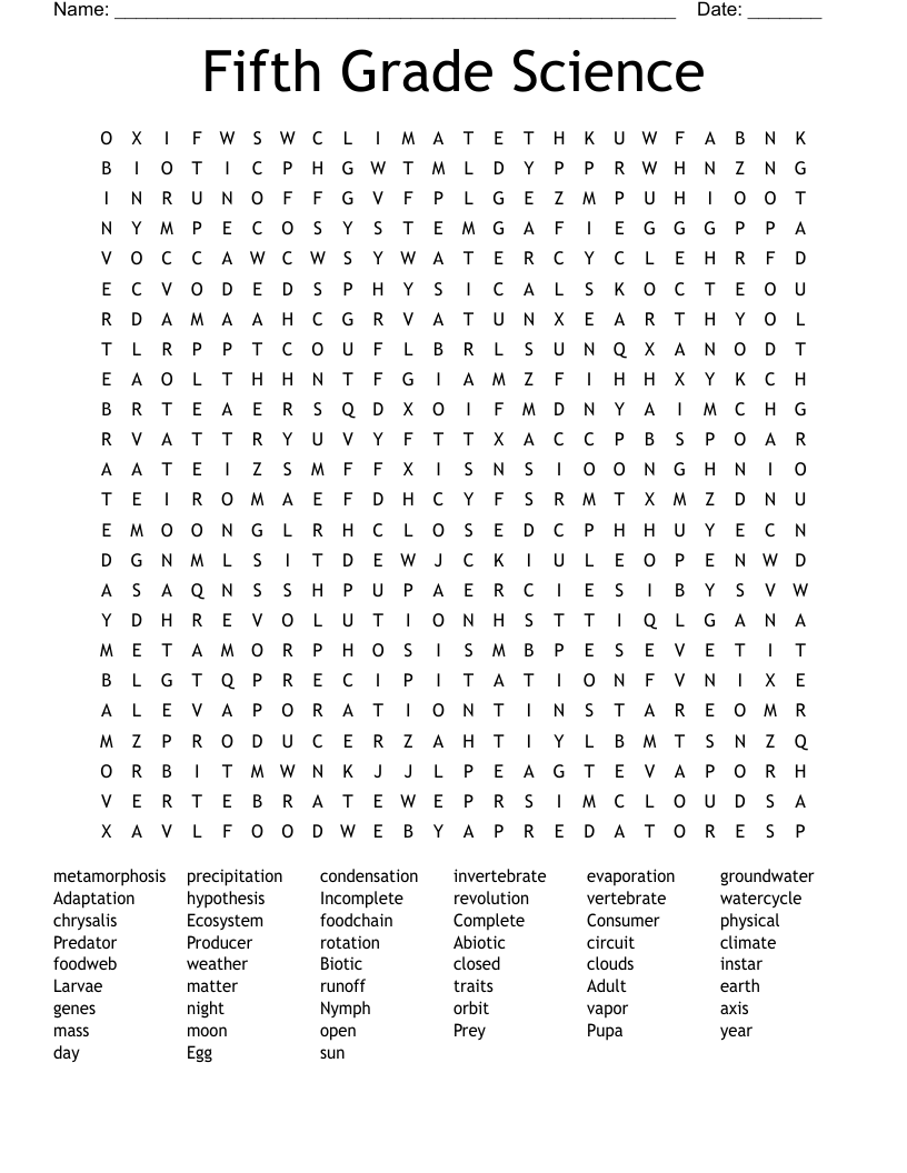Fifth Grade Science Word Search WordMint