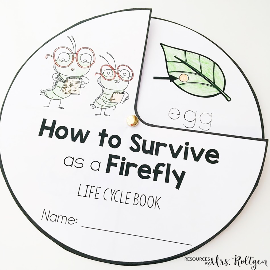 Free Printable Life Cycle Of A Firefly