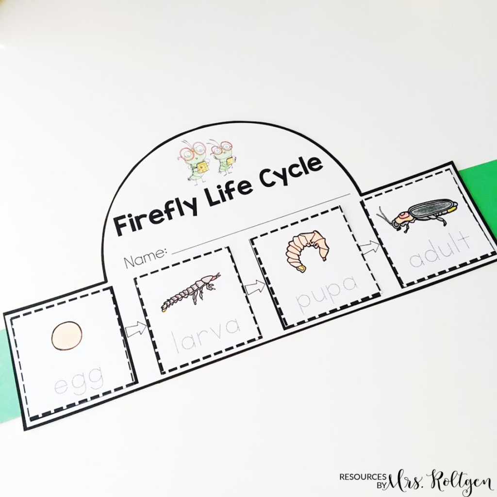 How To Survive As A Firefly FREE Book Activities Katie Roltgen Teaching