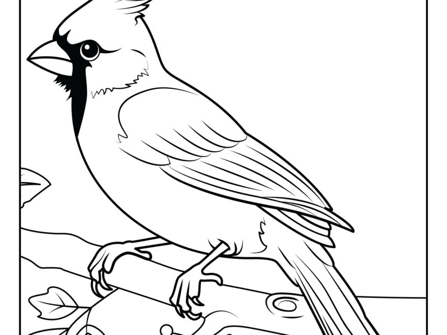 Northern Cardinal Coloring Pages Free Printable PDFs WakeTheKids