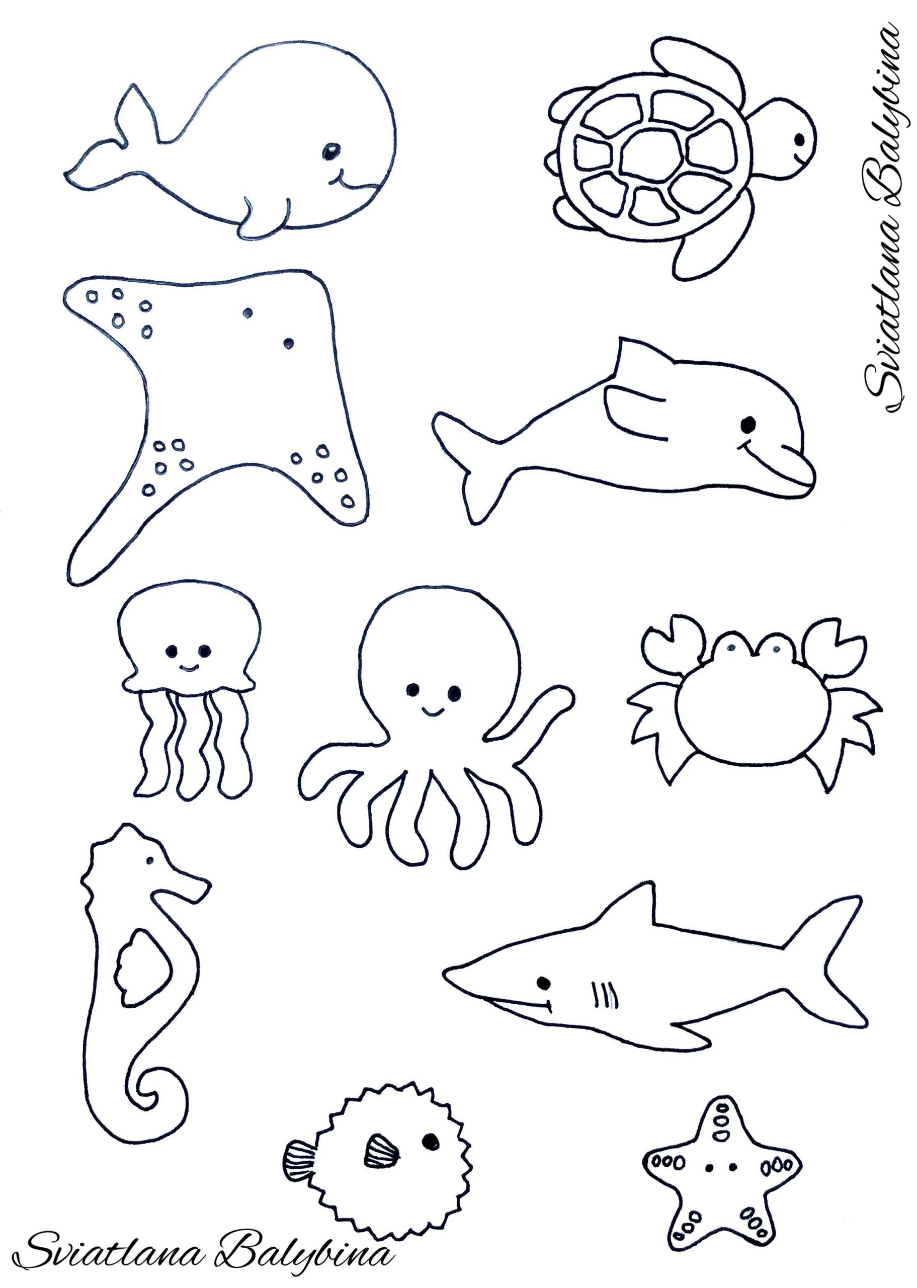 Ocean Animals Sea Animals Template