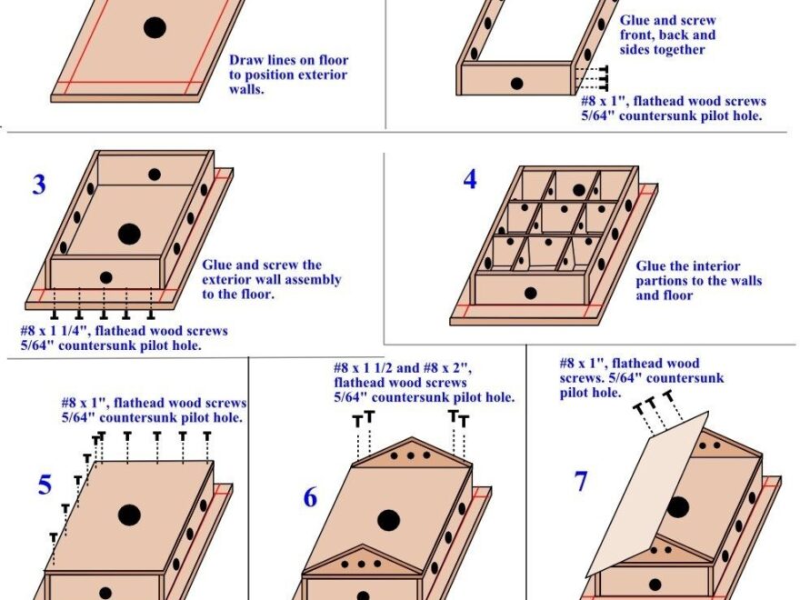 Plans And Directions To Build Purple Martin Houses
